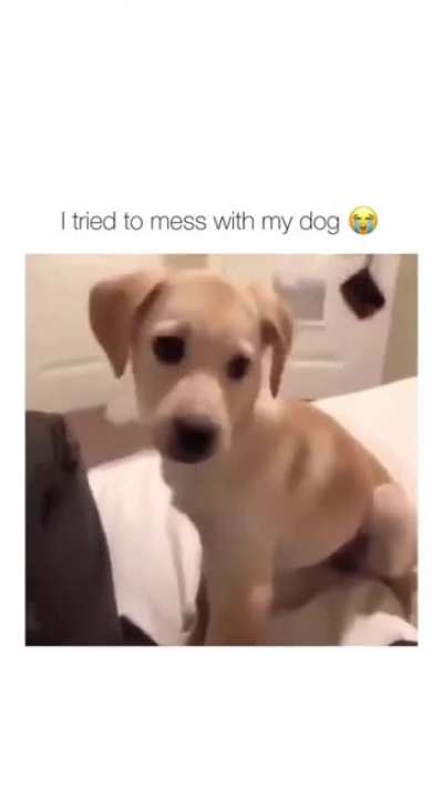 Deserved