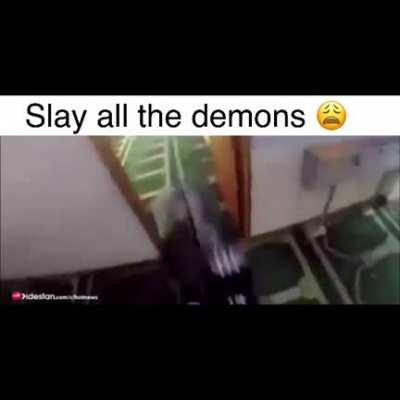 The DoomSlayer