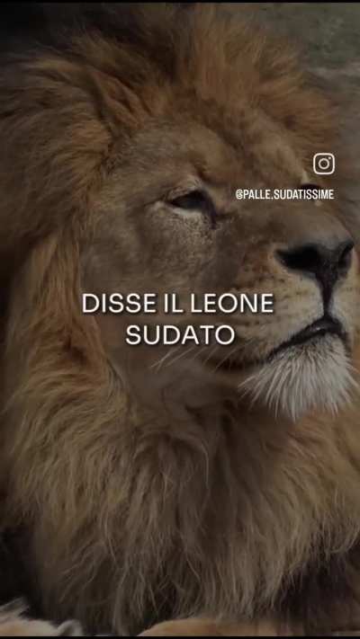 No sense