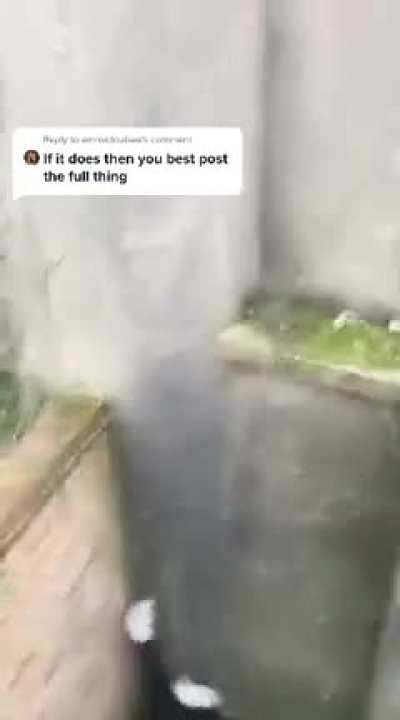 Tiktok Girl