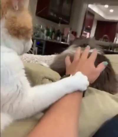 Don't pat my friend with that dirty hand!