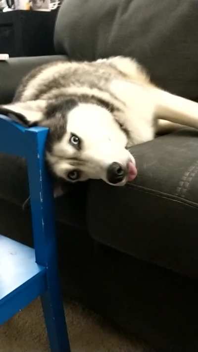 When your Moonmoon is stuck in an error state