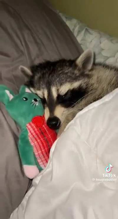 Eepy