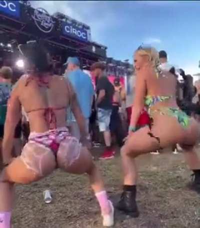 Festival 