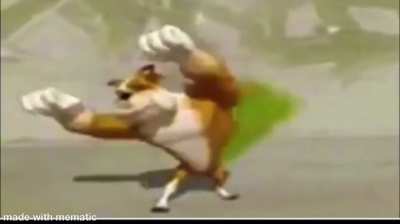 Funni dog