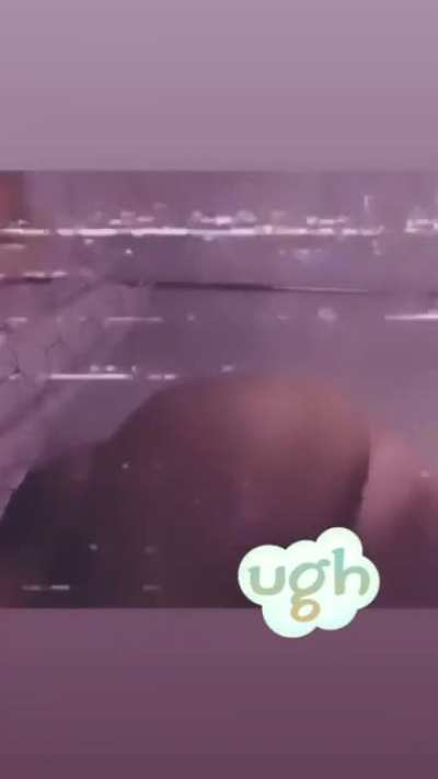 ariana