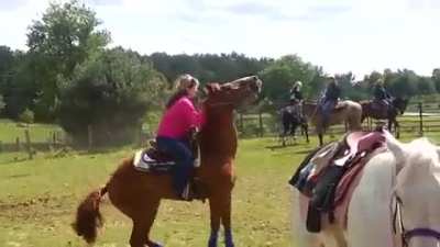 i think the horse had enough....