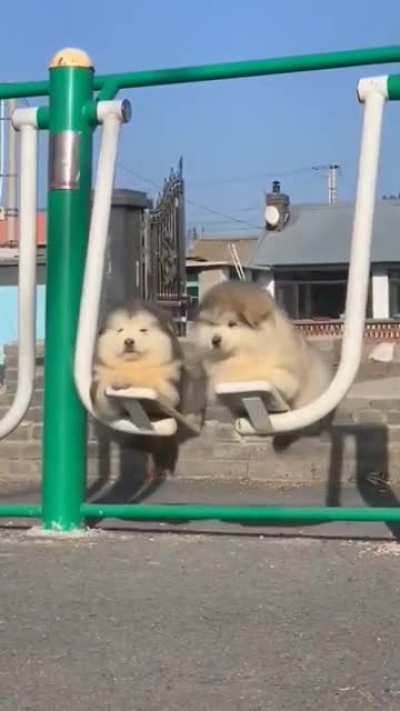 Maybe Maybe Maybe