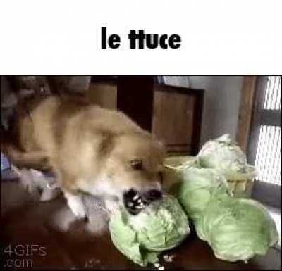 3454