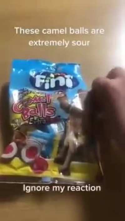 Camel balls -🗿