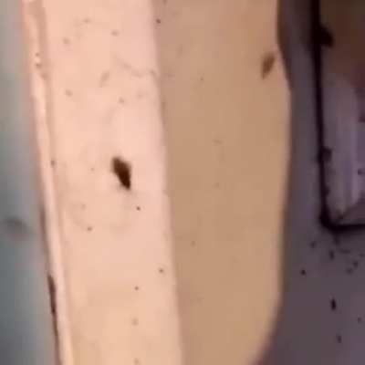 Не смотрите это. Пожалуйста! Листайте дальше! Я предупреждал...