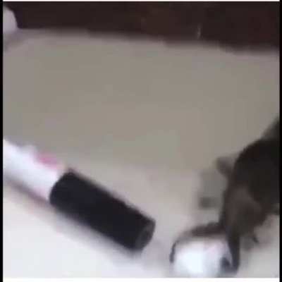 ᵃ