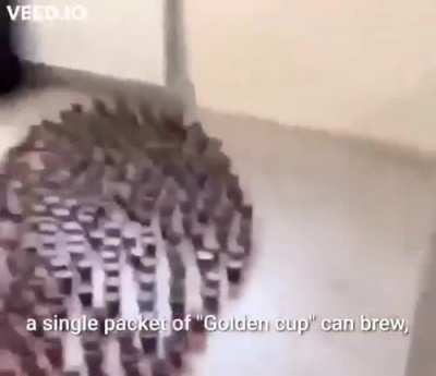Buy Golden Cup