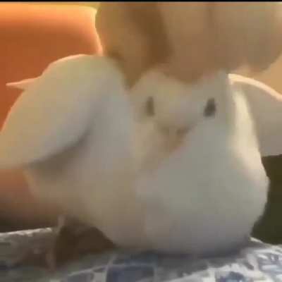 i am here to make your day better