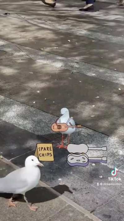 Can you spare a chippie mate?
