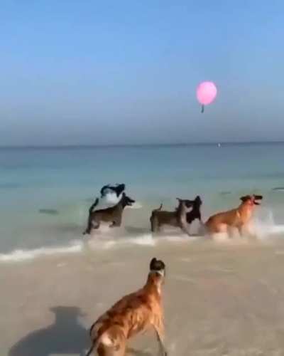 🔥 This is pure happiness!