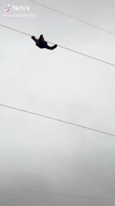 Powerline reverse bungee jump