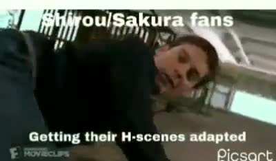 Shippers be like