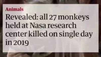 Millions of voices suddenly cried out, then went silent......