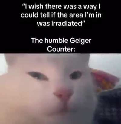 geiger wunker
