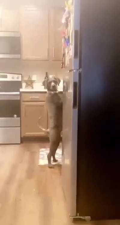 to steal a snack