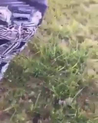 WCGW if we&rsquo;re both doing wheelies?