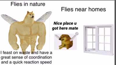 Le time to get The swatter has arrived
