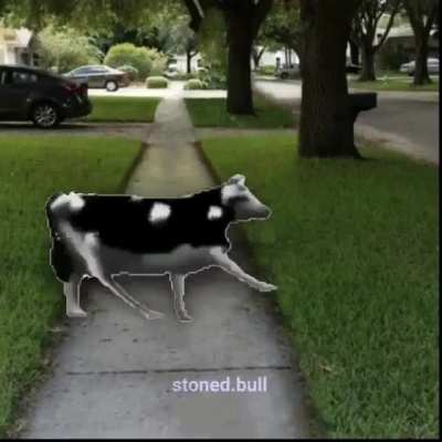 Vaca