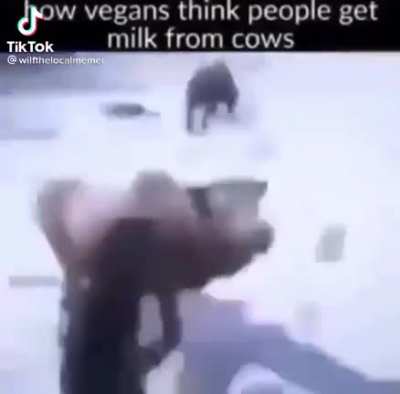 Milk time