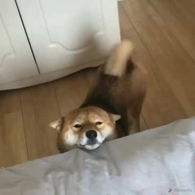 Good morning!