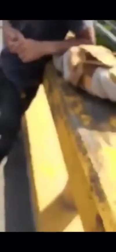 Thrown from bridge