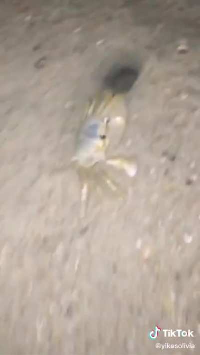 Catch these sands