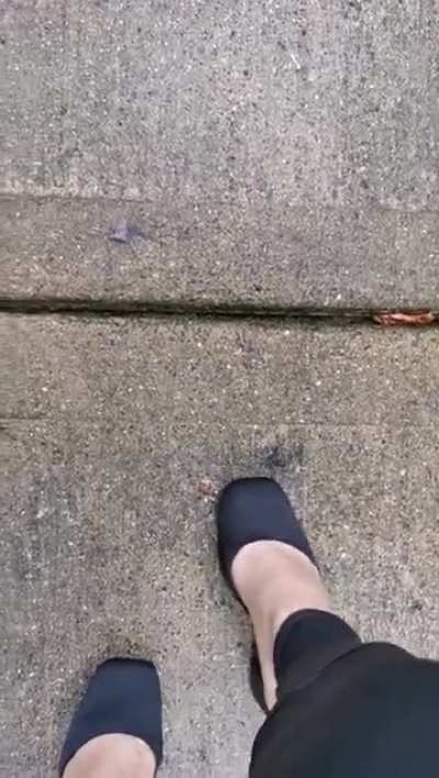 Ankle strap heels crush snail