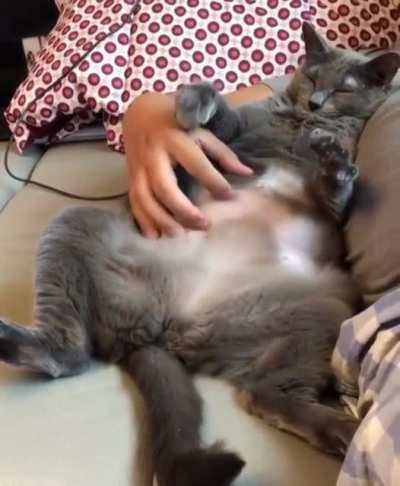 Air biscuits