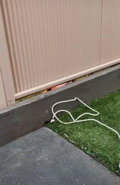 had a li&rsquo;l bite!