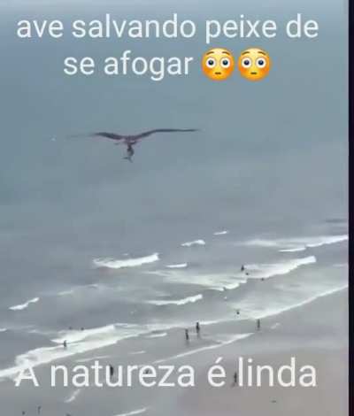 Deus n&atilde;o nos abandonou 😭