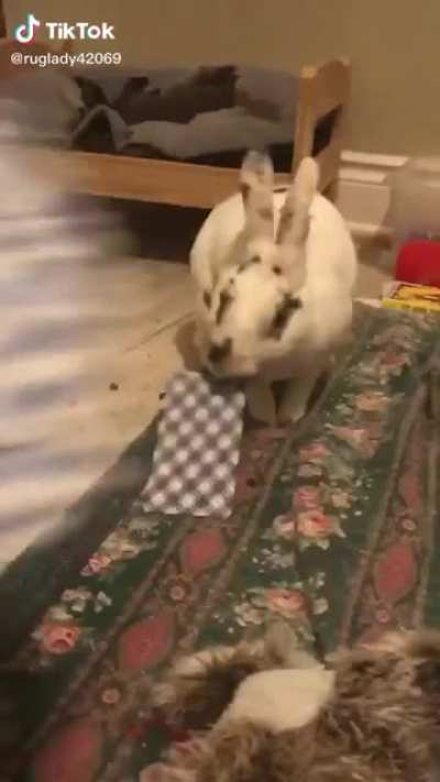 Pick a card, any card!