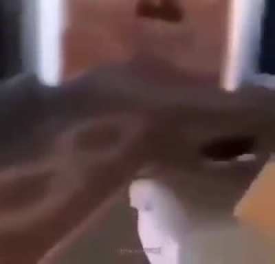 ( "◉‿◉" )