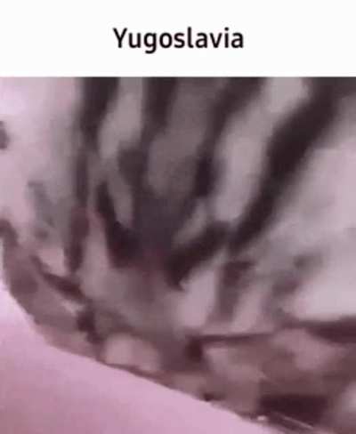 Rule