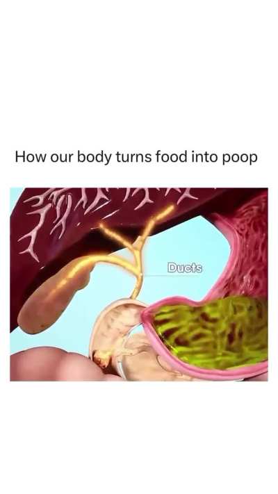 SHITTING BUTT COOL