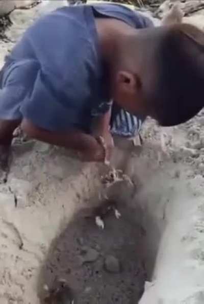 HMJB while i pick on a crab