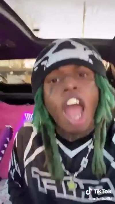 From zillas tiktok
