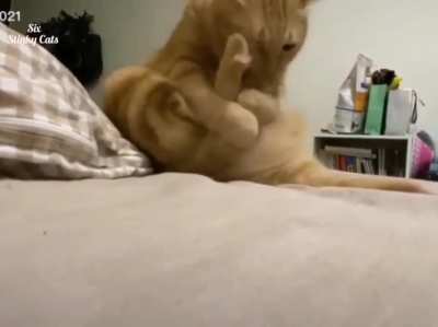 Get back here, you tail!