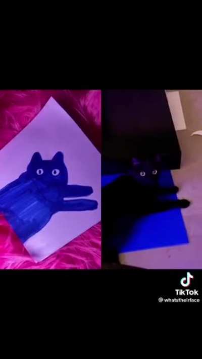 Void speaks