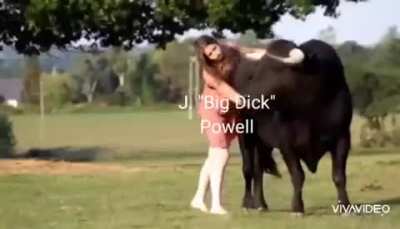 My boy Jerome and WSB Bulls these days