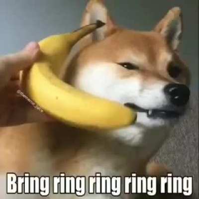 Posting stuff until the sub reaches 2k members day 34