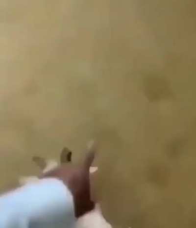Wha-
