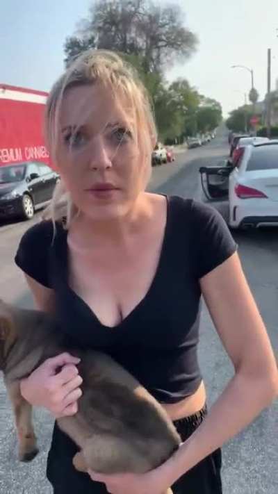 Mental illness... hope the dog is safe
