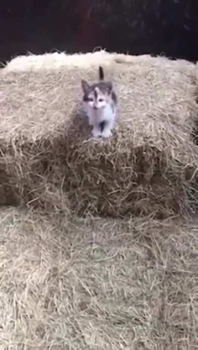 Moooom watch me do this thing!