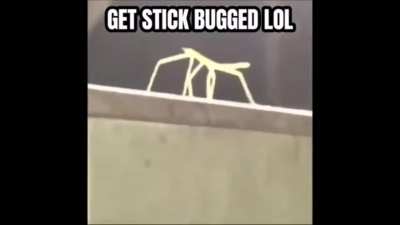 Im sorry
